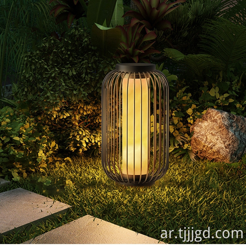 Decorative Solar Lights